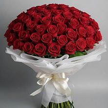 Букет 101 Красная роза Блэк Мэджик в Заозерном
