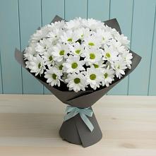 Букет цветов из:  Хризантемы #REPLACE_PRED# Заозерном