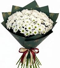 Букет цветов из:  Хризантемы #REPLACE_PRED# Заозерном