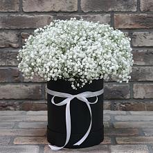 Цветочная композиция из Гипсофила в шляпной коробке #REPLACE_PRED# Заозерном